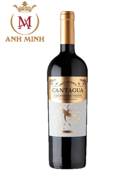Rượu Vang Chile Cantagua Gran Reserva