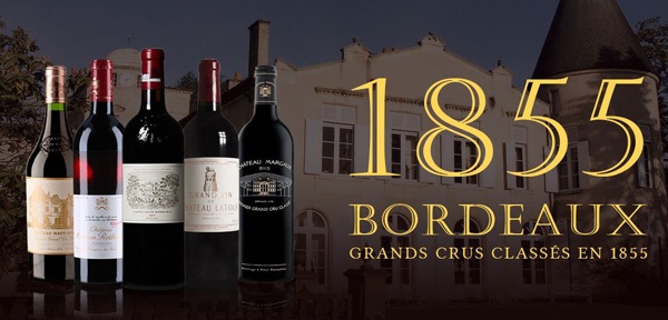 Rượu vang Bordeaux Grand Cru Classé 1855 – hệ thống phân hạng danh giá của Bờ Trái (Left Bank)